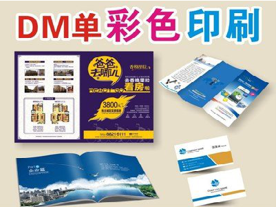 桐乡单页印刷，色彩搭配简单。